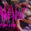 News: Lostboi Lino präsentiert neue Single »Danke Nein«